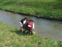 /album/fotogaleria-sibacka-2009/dscf1861-jpg/