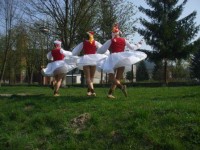 /album/fotogaleria-sibacka-2009/dscf1898-jpg/